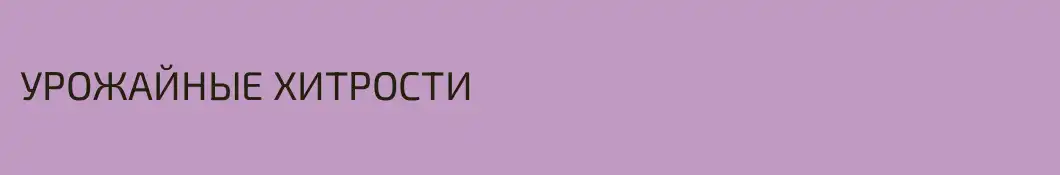 УРОЖАЙНЫЕ ХИТРОСТИ